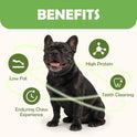 MON2SUN Dog Treats, Rawhide Twist Chicken Hide Sticks, Suitable for Puppy and Small Dogs, 5 Inch (Chicken, 14.11 oz)