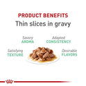 Royal Canin Feline Care Nutrition Digestive Care Adult Thin Slices in Gravy Cat Food, 3 oz (Pack of 12)