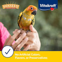 Sunseed Vita Prima Conure Food – Nutrient-Rich Blend with Fruits, Vegetables & Seeds Supports Healthy Feathers, Eyes & Active Energy – 3 lb Bag