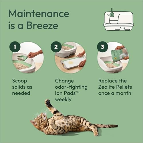Purina Tidy Cats Breeze Litter System Refill Bundle - 7.91 lb Box | Includes odor absorbing dust-free pellets and absorbent pads for easy, mess-free maintenance