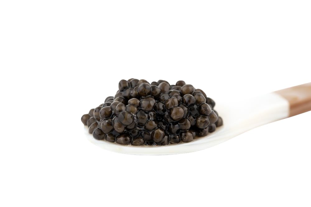 𝐁𝐄𝐒𝐓𝐒𝐄𝐋𝐋𝐄𝐑 Premium Siberian Sturgeon Royal Black Caviar - 1.1 oz - (30g) - Classical Sturgeon Malossol Sturgeon Black Roe - [JANUARY 2026]