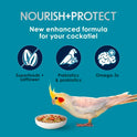 Kaytee Forti-Diet Pro Health+Safflower Nourish+Protect Cockatiel Food, Supports Breeding and Molting, Nutrition Backed by Science, Digestive and Brain Health, 4 pounds
