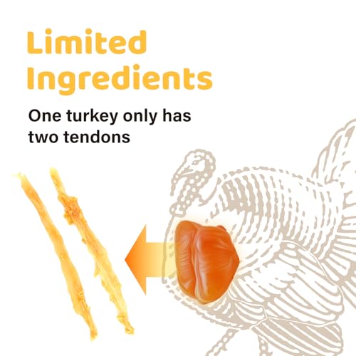 iPaw 10 Pcs Value Pack Turkey Tendons for Dogs, Single Protein, Hypoallergenic, All Natural Human Grade Puppy Chew, Rawhide Alternative Dog Treats, Ring (Small)