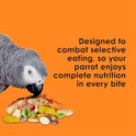 Kaytee Fiesta Parrot Food, Nutritious and Fun Blend, Supports Skin, Feather, Digestion, Brain and Heart Health, 4.5 pounds