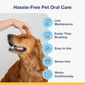 ProDen PlaqueOff Soft Chews with Natural Kelp - for Small & Medium Breed Dogs & Cats - Supports Normal, Healthy Teeth, Gums, and Breath Odor in Dogs & Cats - 90 Soft Chews
