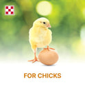 Purina Start and Grow | Non-Medicated Chick Feed Crumbles | Nutritionally Complete - 5 Pound (5 lb) Bag