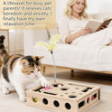 Cat Toys for Indoor Cats - Interactive Box Puzzle Toy Nail File Scratcher Hunting Play Toy with 3 Jingle Balls & 1 Feather Wand, Wooden Puzzle Treat Toy Box Energize Cat Instincts for Bored Cats