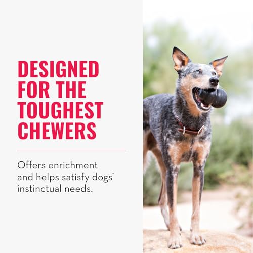KONG Extreme Dog Toy - Fetch & Chew Toy - Treat-Filling Capabilities & Erratic Bounce for Extended Play Time Most Durable Natural Rubber Material - for Power Chewers - for Large Dogs