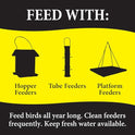 Wild Delight Advanced Formula Bugs N Berries Wild Bird Food 4.5 lbs