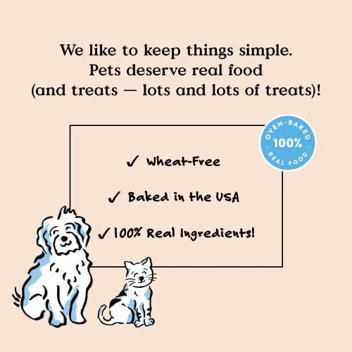 Bocce's Bakery Dailies Brushy Sticks to Support Oral Health & Fresh Breath, Wheat-Free Dental Bars for Dogs, Made with Real Ingredients, Baked in The USA, Natural Coconut & Mint, Medium Dogs