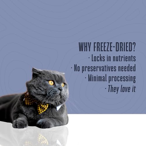 Whole Life Cat Just One Salmon Freeze Dried Cat Treats - Human Grade High Protein Food, Healthy Training Snacks, Freeze Dried Salmon Food Toppers, USA Made Natural Treats - 2.5 oz (Pack of 1)