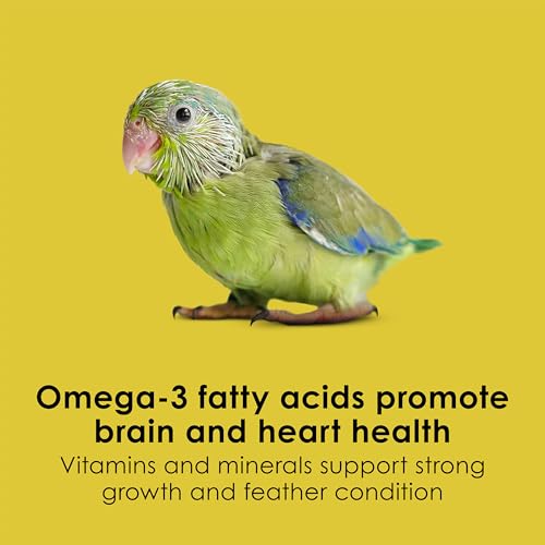 Kaytee Exact Hand Feeding Pet Bird Baby Food For Parrots, Parakeets, Lovebirds, Cockatiels, Conures, Cockatoos, and Macaws, 5 Pound