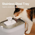PETLIBRO Cat Water Fountain Stainless Steel Tray, Wireless Pump Cat Fountain, Ultra Quiet Pet Water Fountain, 2.5L Automatic Water Dispenser for Cats, Dual Flow Cat Water Dispenser Easy to Clean