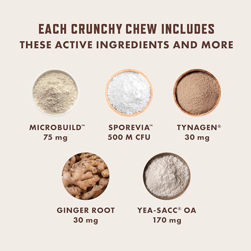 Rocco & Roxie Cat Probiotics, Health Supplement for Cats, Prebiotic & Postbiotic for Digestive + Gut Support, Constipation Relief, Anti Diarrhea, Supplements & Vitamins, Chicken Flavored Crunchy Chews