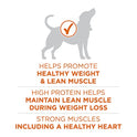 Purina ONE Plus Healthy Weight High-Protein Dog Food Dry Formula - 31.1 lb. Bag