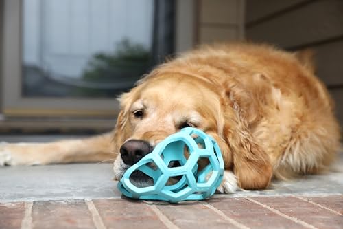 JW Pet HOL-ee Roller™, Dog Toy Puzzle Ball, Natural Rubber, Large (5.5” Inch Diameter), Blue