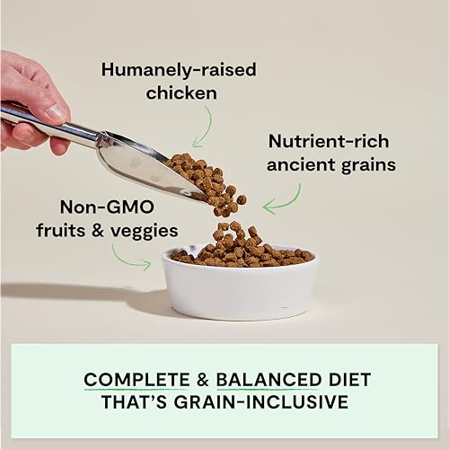 Open Farm, Ancient Grains Dry Dog Food, Protein-Rich & Nutrient Dense, 90% Animal Protein Mixed with Non-GMO Fruits, Veggies and Superfoods, Harvest Chicken Recipe, 22lb Bag