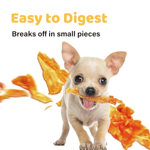iPaw 10 Pcs Value Pack Turkey Tendons for Dogs, Single Protein, Hypoallergenic, All Natural Human Grade Puppy Chew, Rawhide Alternative Dog Treats, Ring (Small)