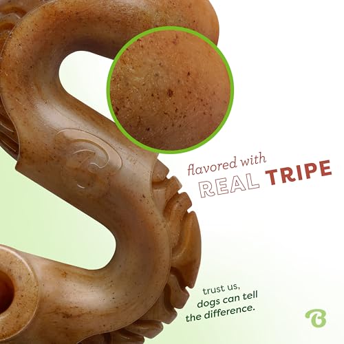 Benebone Tripe Bone Durable Dog Chew Toy for Aggressive Chewers, REAL Beef, Made in USA, Medium