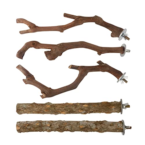 5PCS Bird Perch Stand Natural Wooden Parrot Stand Branch,3 Grape Wood Perch,2 Stand,Paw Grinding Fork Parakeet Chewing Stick Exercise Training Branches for Cockatiels,Small Medium Birds