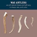 Brand - Wag Split Elk Antler, Naturally Shed, Long Lasting for Aggressive Chewers, Medium (Best for Dogs 15-30 lbs)