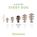 Benebone Fishbone Durable Dog Chew Toy for Aggressive Chewers, Real Fish, Made in USA, Medium