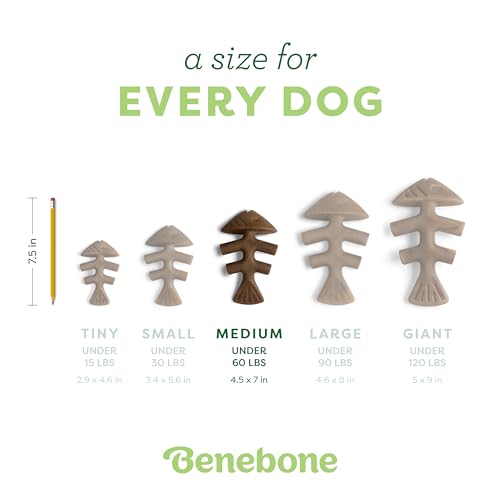 Benebone Fishbone Durable Dog Chew Toy for Aggressive Chewers, Real Fish, Made in USA, Medium