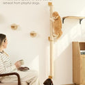 FUKUMARU Cat Wall Scratcher, 60" Tall Wall Mounted Kitten Scratching Post, Sturdy Sisal Climbing Tree for Indoor Large Cats