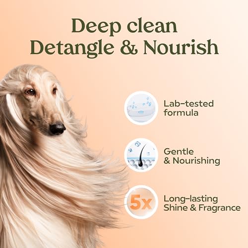 PAWFUME Deshedding Dog Shampoo and Conditioner, Show Dog, 1-Pack – Nourish & Detangle for Silky Soft Coat – Probiotic, Deep-Cleaning, pH-Balanced Formula – Salon-Quality Shampoo for Dogs