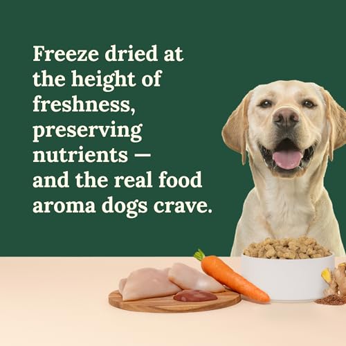 360 Pet Nutrition Freeze-Dried Raw Dog Food – Chicken Recipe with Liver & Organs, High Protein, Omega-3s, Fruits, Veggies & Superfoods, Grain-Free, No Fillers, 3 lb – Made in USA