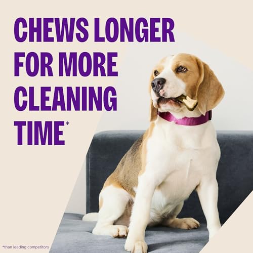 Whimzees Wellness Brushzees Natural Dog Dental Treat, VOHC Accepted Chews, Freshens Breath, Extra-Small Size, 12.7 oz Bag, 48 Count