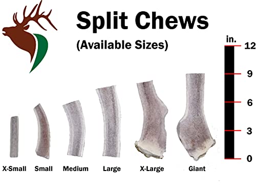 Elkhorn Premium Chews – Elk Antlers for Dogs, X Large (6-10") Split, 1 Pack, All Natural Dog Chew for X Large Dogs, Premium Naturally Shed Antler Bone for Aggressive Chewers, Sourced in the USA