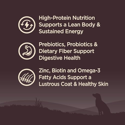 Wellness CORE Adult Dry Dog Food, Grain Free Kibble, Natural, High Protein, Turkey and Chicken Recipe, 4 lb Bag