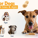 BUDDY BUDDER, Ruff Ruff Raw, Natural Dog Peanut Butter, Dog TreatMade in USA, (17 oz Jars)