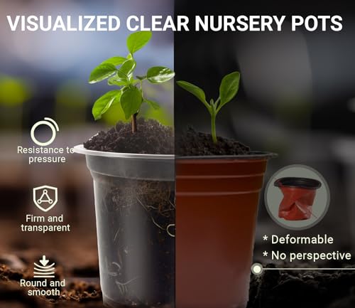 30 Packs Clear Nursery Pots for Plants, 3.5/4/5 Inch High Transparency Plastic Seedling Plant Pot with Drainage Holes, Includes 20 Labels