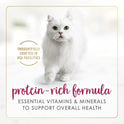 Purina Fancy Feast Wet Senior Cat Food 7 Years Plus Chicken Feast Pate - (Pack of 24) 3 oz. Cans