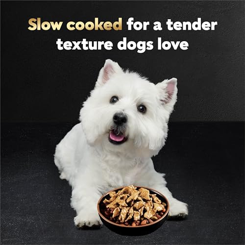 Cesar Filets in Gravy Wet Dog Food Rotisserie Chicken Flavor, Filet Mignon Flavor, and Wood-Grilled Chicken Variety Pack, Wet Food for Dogs, 1.76 oz. Mini-Pouches, 40 Count