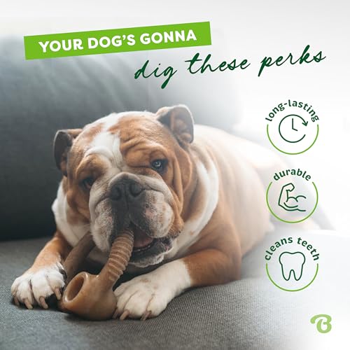 Benebone Ring Durable Dog Chew Toy for Aggressive Chewers, Real Bacon, Made in USA, Medium