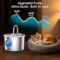 Cat Water Fountain Advanced 304 Stainless Steel 2.2L/74oz with Detachable Tank, Easy to Clean, Automatic Pet Fountain Quiet Cats Water Dispenser, Perfect for Cats Dogs Indoor