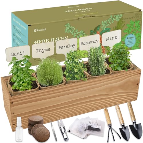 5 Herb Garden Planter Indoor with Wooden Box, Home Kitchen Seed Starter Kit Including Basil, Thyme, Parsley, Rosemary, Mint, Birthday, Mothers Day, House Warming, Gardening Gifts for Women, Mom - Mart Station