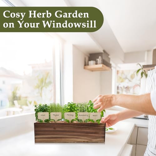 5 Herb Garden Planter Indoor with Wooden Box, Home Kitchen Seed Starter Kit Including Basil, Thyme, Parsley, Rosemary, Mint, Birthday, Mothers Day, House Warming, Gardening Gifts for Women, Mom - Mart Station