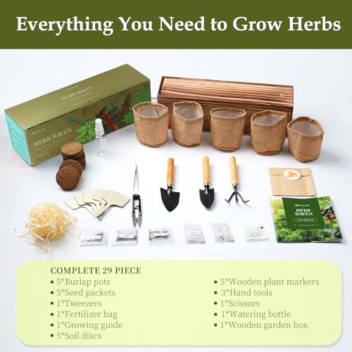 5 Herb Garden Planter Indoor with Wooden Box, Home Kitchen Seed Starter Kit Including Basil, Thyme, Parsley, Rosemary, Mint, Birthday, Mothers Day, House Warming, Gardening Gifts for Women, Mom - Mart Station