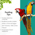 RoudyBush Daily Maintenance Bird Food, Crumbles, 44-Ounce, 2.75 lb (244CRDM)