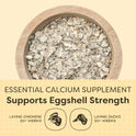 Scratch and Peck Oyster Shell Supplement - 4 lb Bag - Natural Calcium Boost for Healthy Eggshells in Chickens and Ducks, Sustainably Sourced Pure Flaked Oyster Shell