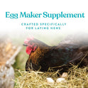 Manna Pro Omega Egg Maker, Chicken Feed Supplement for Laying Hens, Poultry Food with Omega-3 Fatty Acids, Digestion Support with Fortified Vitamins & Minerals, 5 lbs