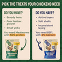 Hatortempt Bulk Dried Mealworms - 10 Lb Bag - Non-GMO Dried Mealworms for Chickens, Ducks & Wild Birds - High-Protein Chicken Feed & Bird Food