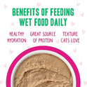 Weruva B.F.F. Play - Best Feline Friend Paté Lovers, Aw Yeah!, Pinky Promise Patés! Variety Pack, 2.8oz Can (Pack of 12)