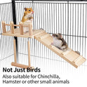 FrgKbTm Bird Perches Platform Swing with Climbing Ladder, Parakeet Cage Accessories Wooden Playing Gyms Exercise Sturdy for Small Birds