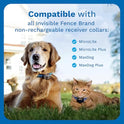 Invisible Fence Power Cap Battery - Original IFB Electric Fence Battery Replacement for Dog Collars - Long-Lasting - 2 Pack