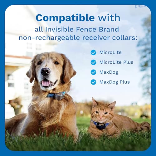 Invisible Fence Power Cap Battery, 2-Pack